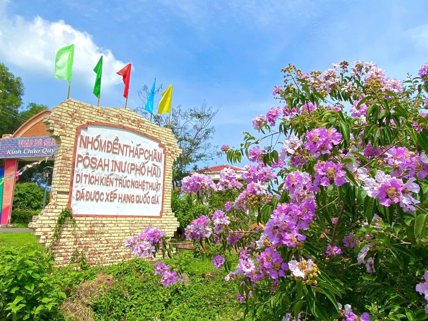 Sắc hoa tươi tắn đan xen bên không gian khu di tích lịch sử quốc gia tháp cổ Po Sah Inư.