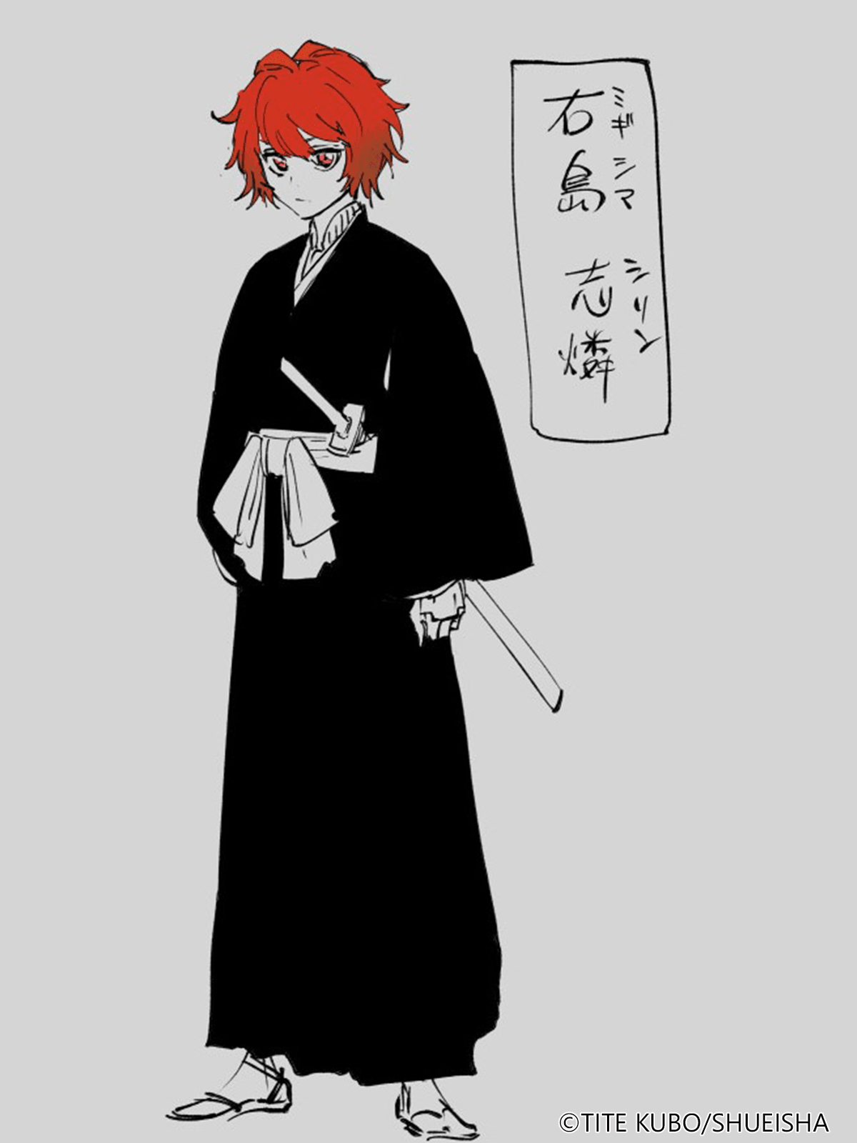Nhân vật mới Shirin Migishima được thiết kế bởi Tite Kubo.