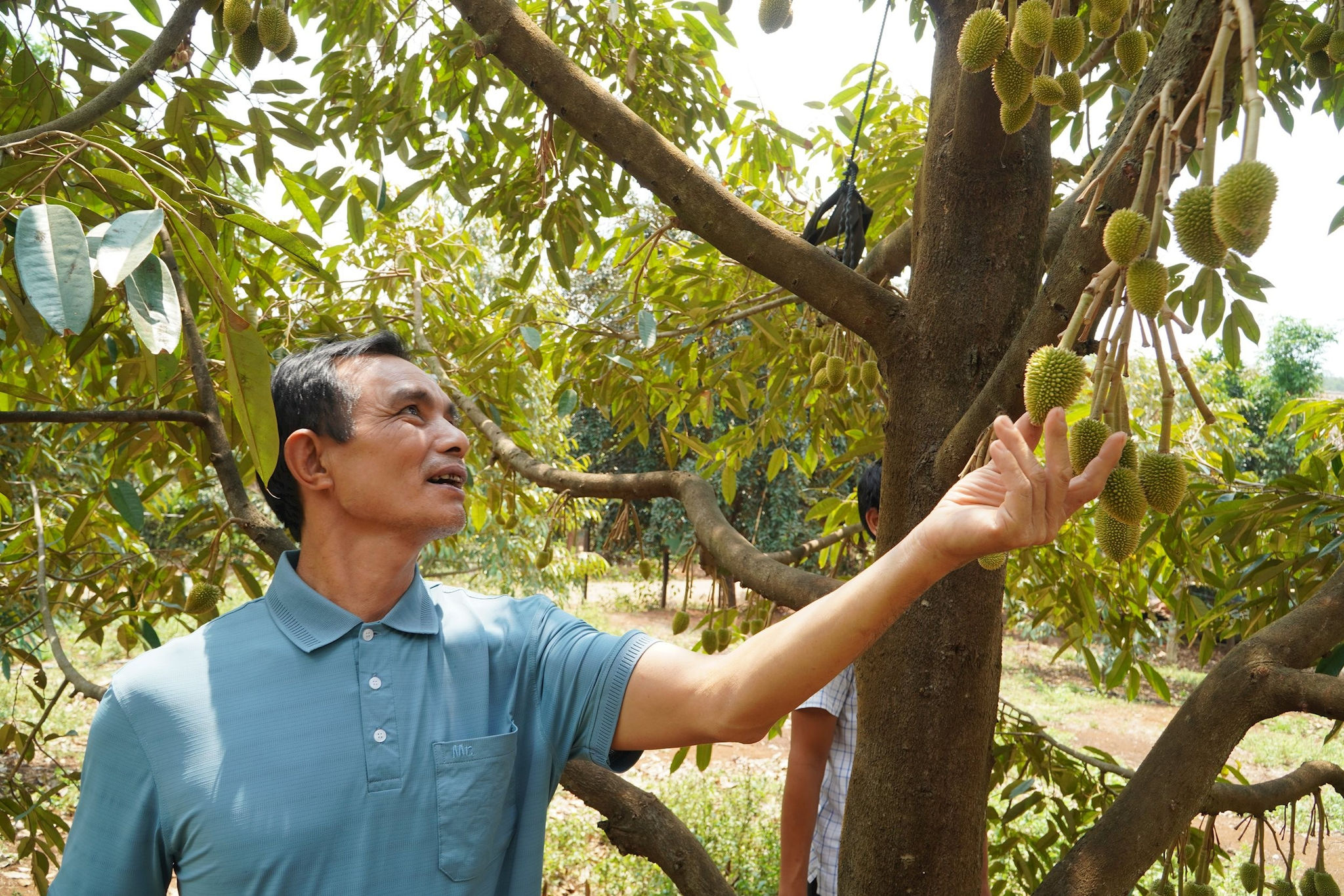 quảng tân3