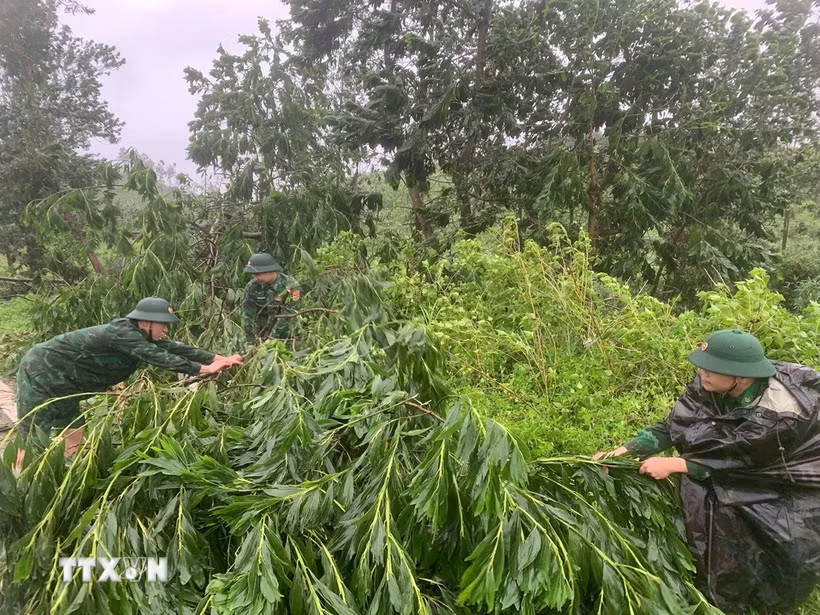 Lực lượng cán bộ, chiến sỹ Đồn Biên phòng Quảng Đức (Quảng Ninh) khẩn trương dọn cây cối bị ngã, đổ trên các địa bàn. (Ảnh: TTXVN phát)