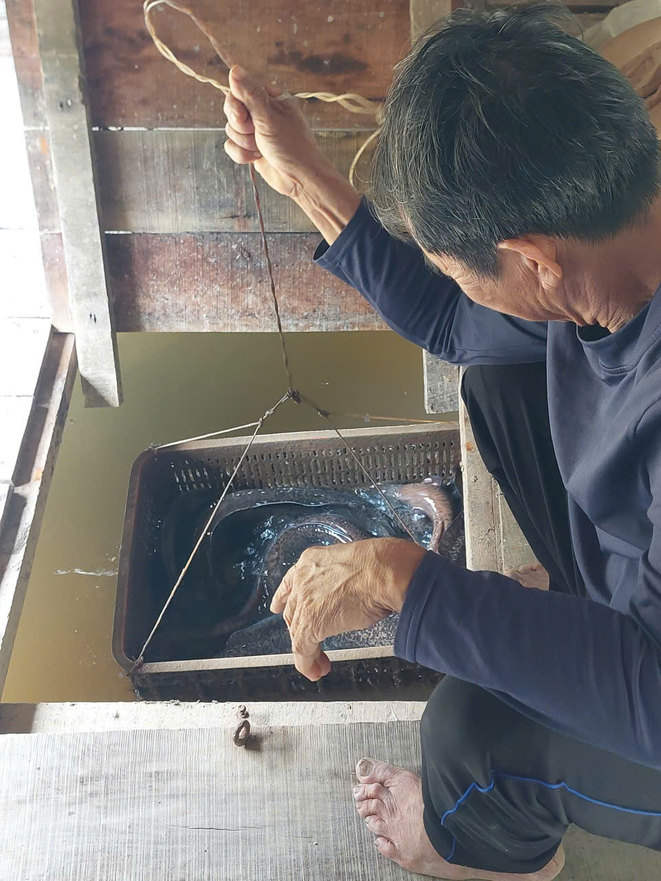 ông Mười vớt cá chình.jpg1