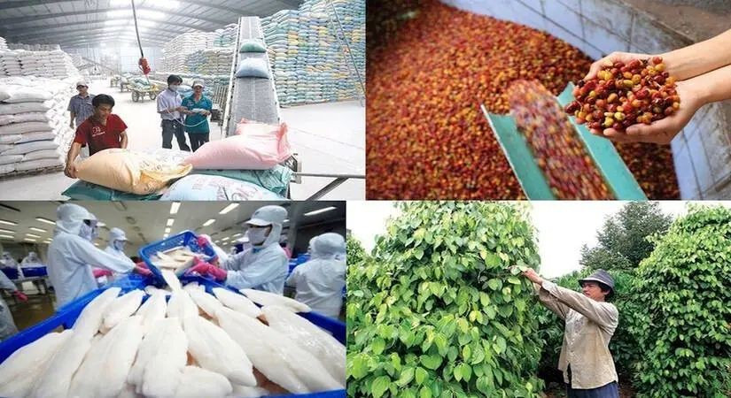 Xuất khẩu nông lâm thủy sản từ 70 đến 100 tỷ USD: Cần những bước đột phá mới- Ảnh 3.