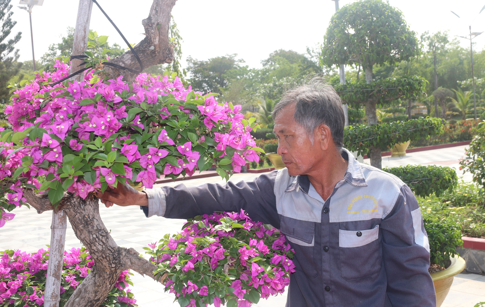 Ông Dương Văn Hậu hiểu rõ đặc tính từng loại hoa, cây xanh trong khuôn viên nghĩa trang