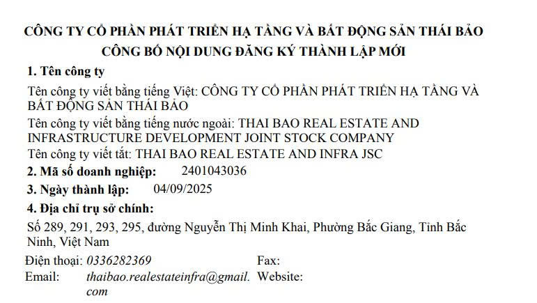 Thông tin đăng ký doanh nghiệp của Công ty Cổ phần Phát triển hạ tầng và Bất động sản Thái Bảo