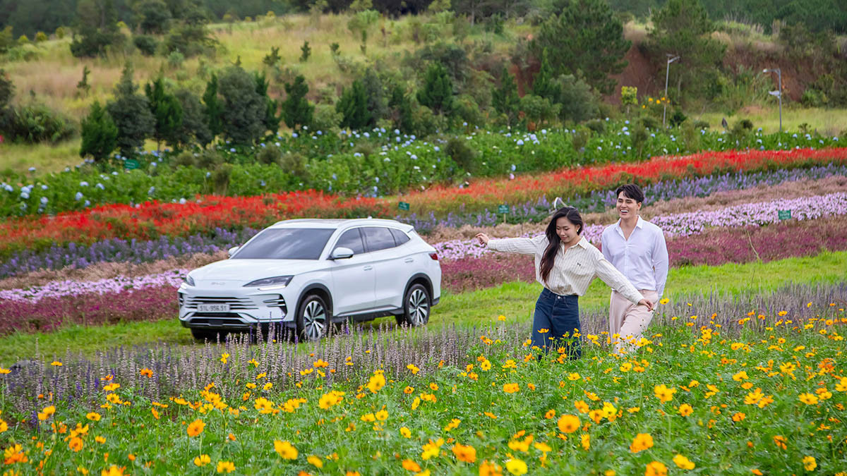 BYD Sealion 6 nhận được sự đón nhận tích cực từ khách hàng Việt