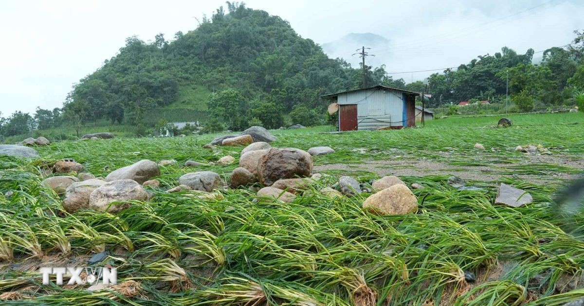 Thời tiết ngày 16/7: Mưa to tại nhiều khu vực, cảnh báo sạt lở ở vùng núi Bắc Bộ