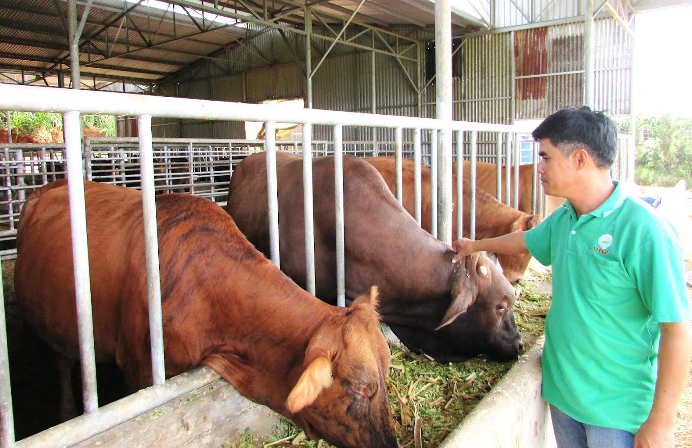 ap-dung-quy-trinh-chan-nuoi-cong-nghe-moi-de-dam-bao-an-toan-dich-benh.jpg