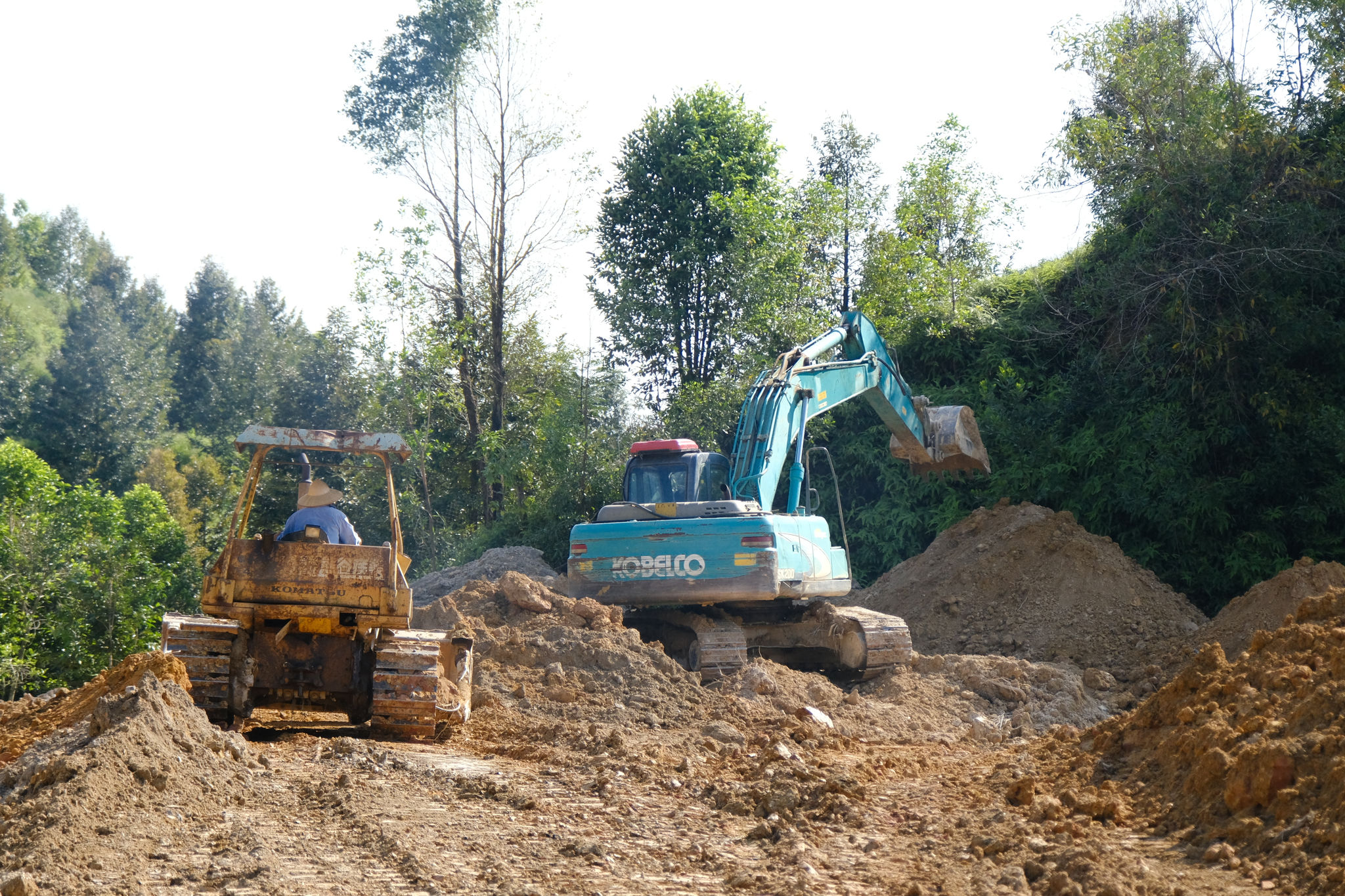 dscf8738.jpg