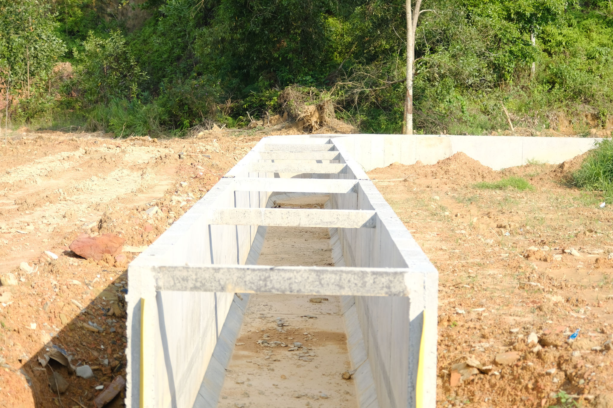 dscf8796.jpg