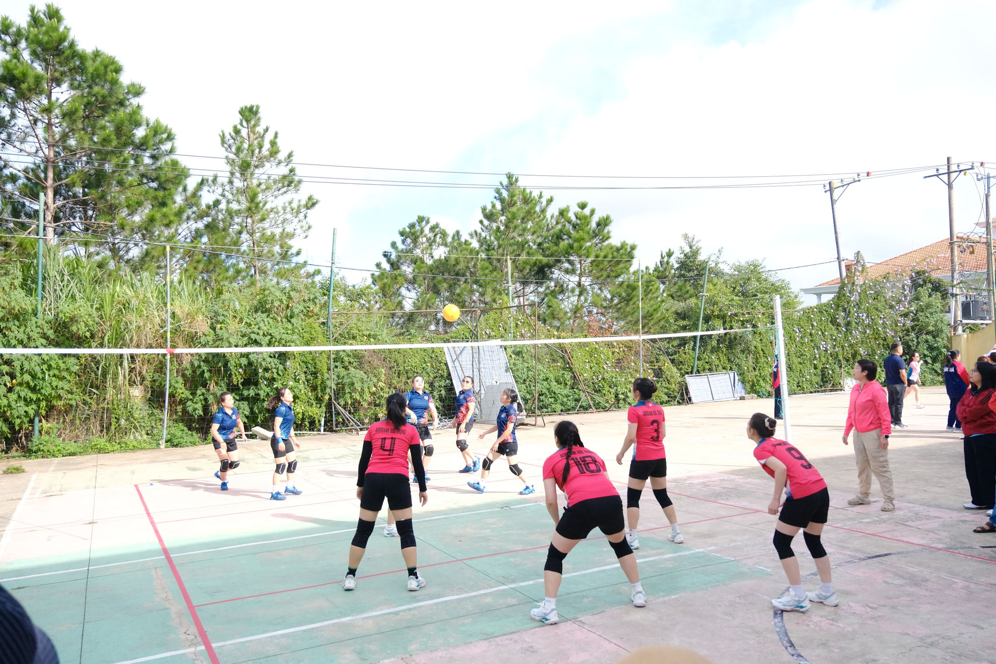 dscf9749.jpg