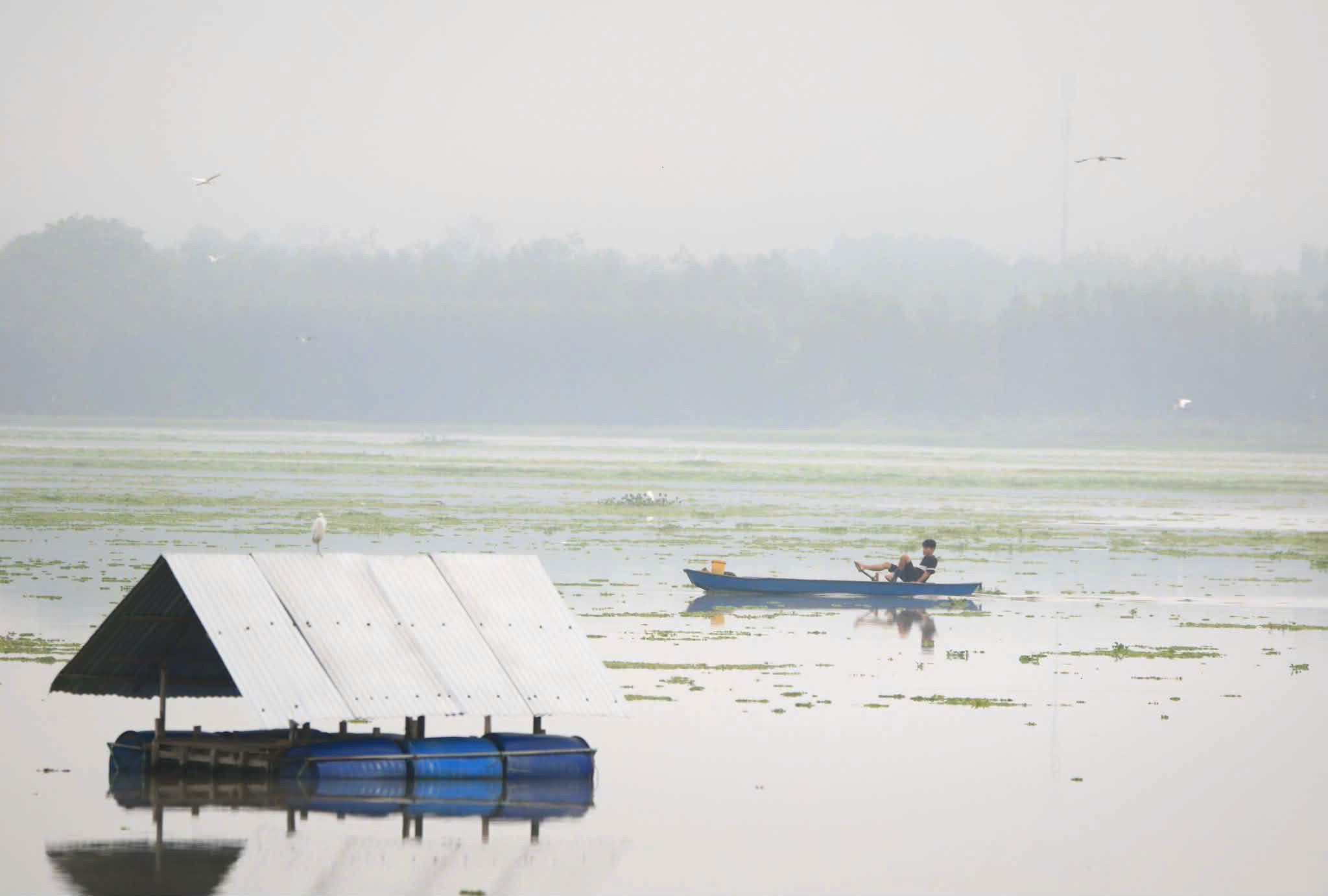 A view of Tra Tan Freshwater Lake