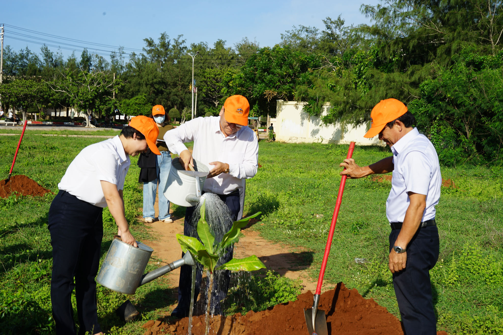 Tree planting in Phu Quy Special Zone
