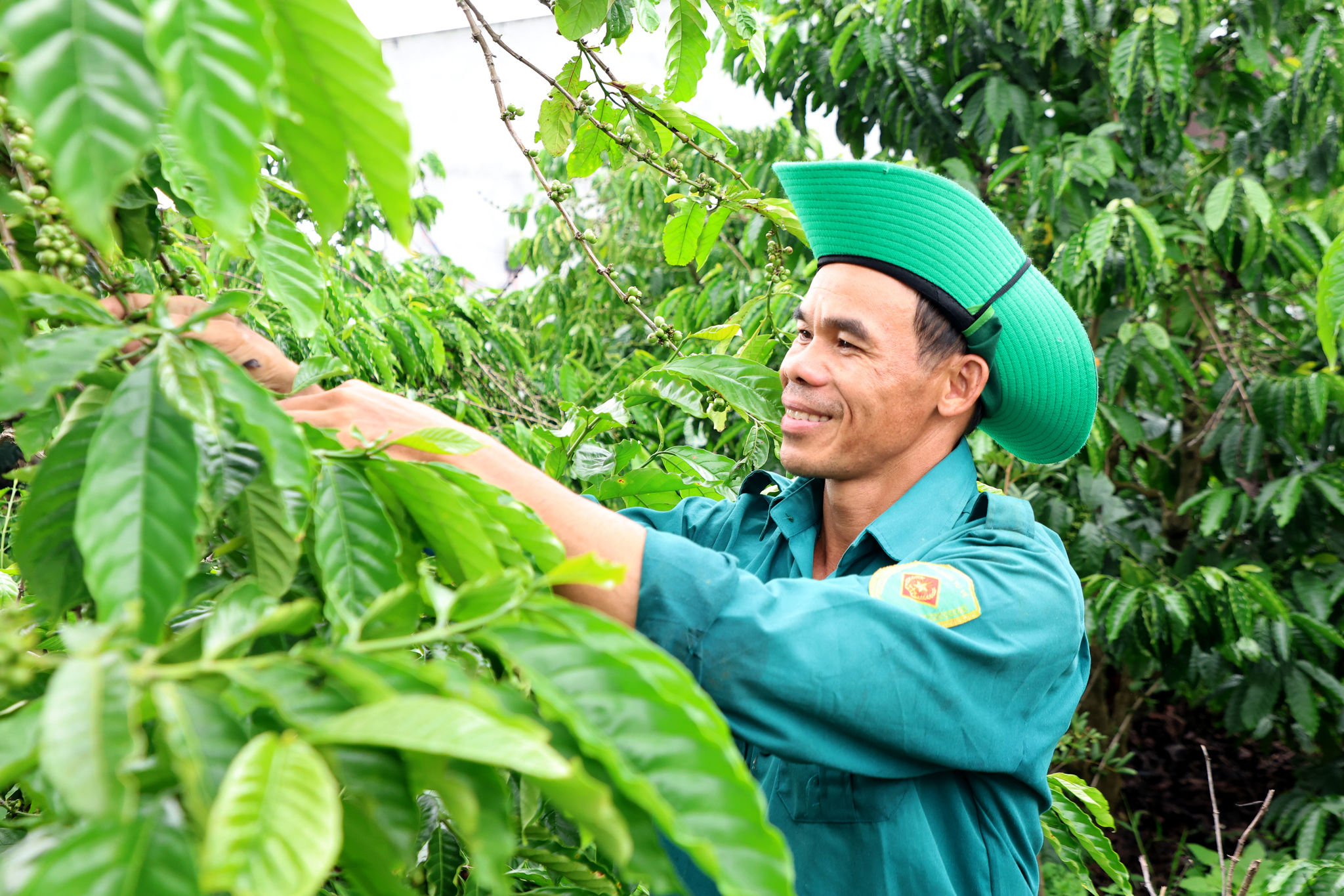 Giam ngheo xa Krong No5