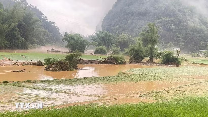 (Ảnh minh họa: Quốc Đạt/TTXVN)