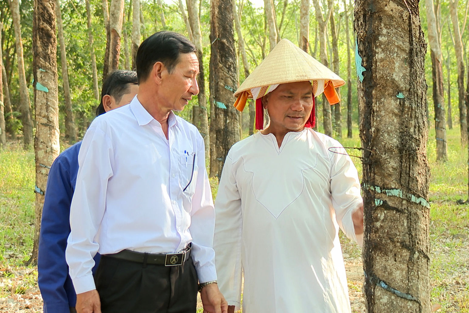 Bí thư Chi bộ thôn Chăm, xã Tánh Linh, tỉnh Lâm Đồng đi thăm vườn cao su của ông Thông Sết.