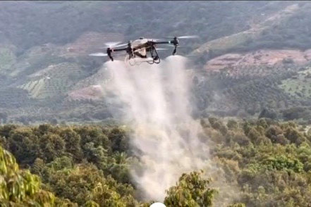 An unmanned aerial vehicle (drone) sprays pesticide on durian trees in Da Huoai Commune.