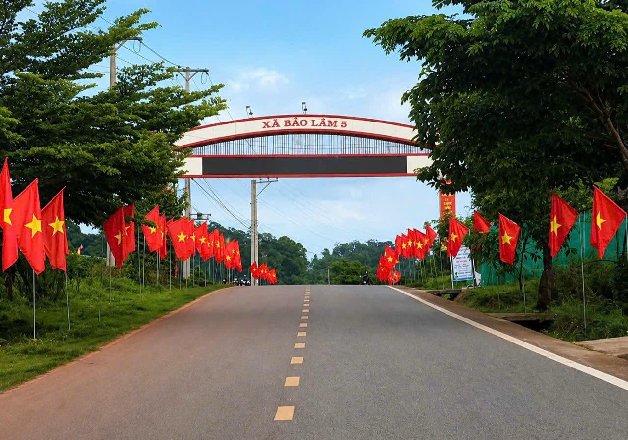 Hình ảnh 5