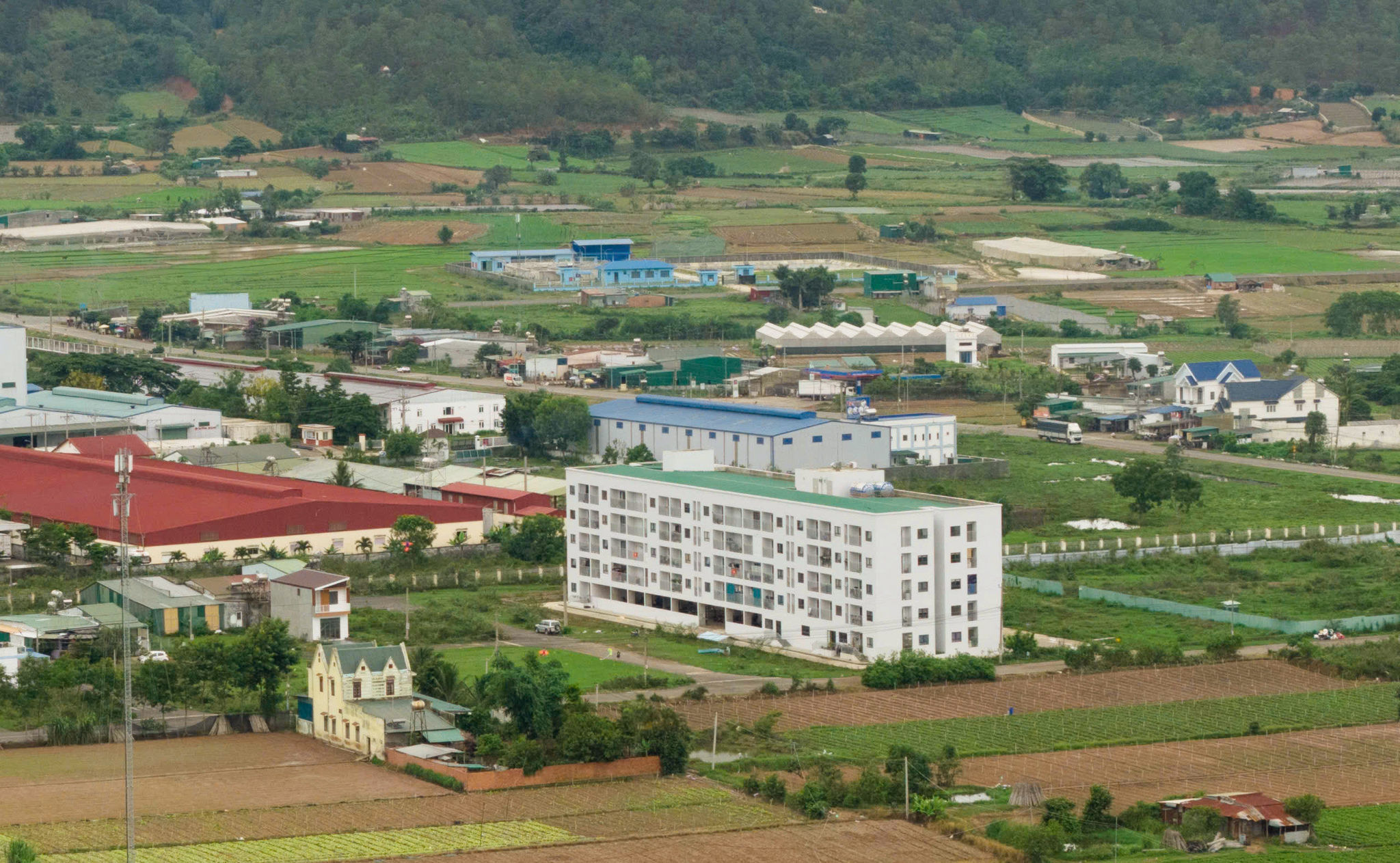 nha-o-xa-hoi-phu-hoi.jpg
