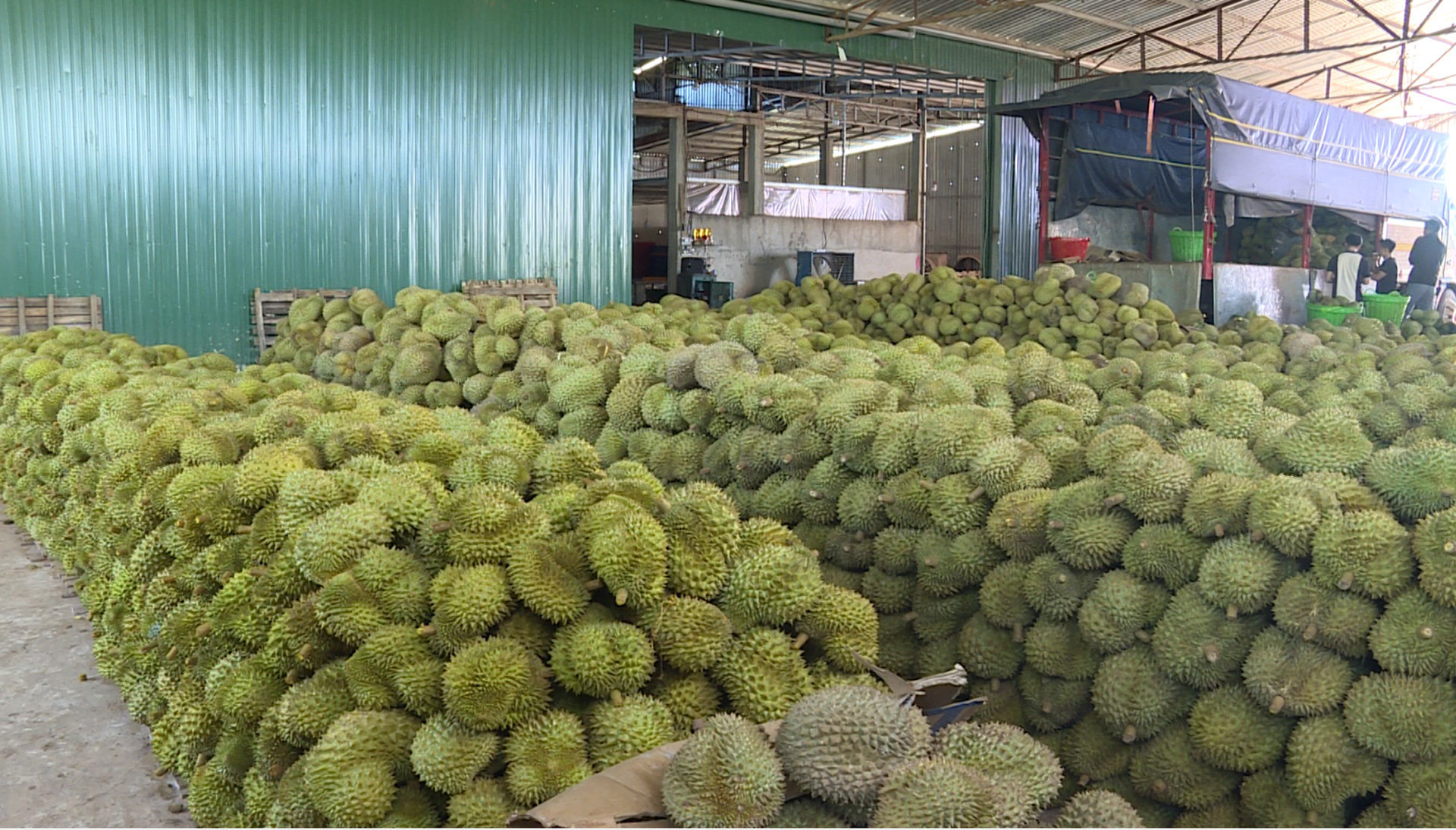 baolamdong.vn-file-e7837c02845ffd04018473e6df282e92-112023-_t3b-hung-ngoc_20231122195038.jpg