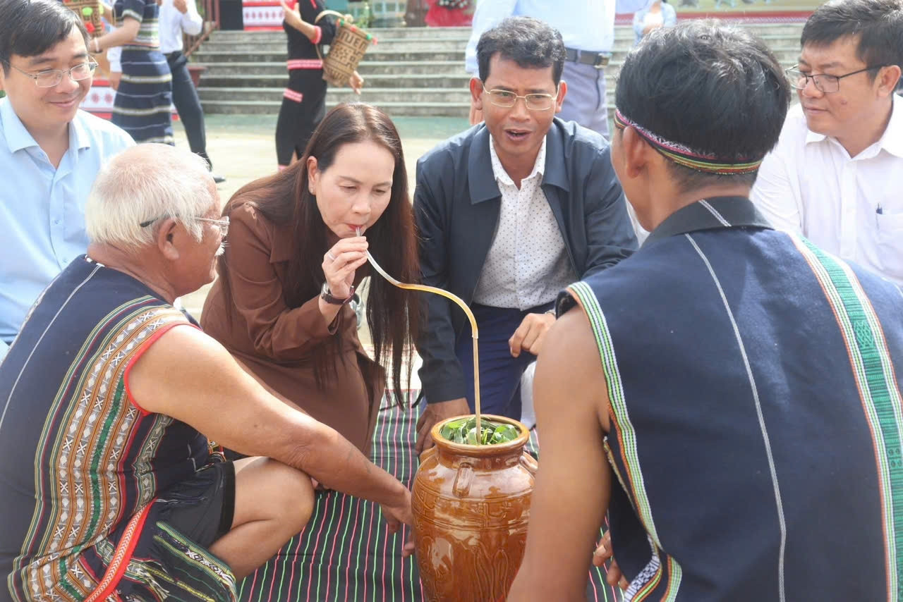 uploads-2025-thang-11-ngay-1-anh-hinh-4-dam-rong.jpg