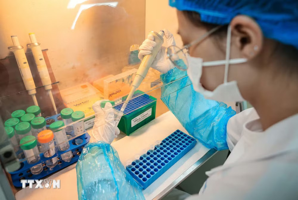 Trực tiếp thực hiện các quy trình xét nghiệm tại trung tâm là đội ngũ kỹ thuật viên và chuyên gia được đào tạo bài bản, có trình độ chuyên môn cao trong lĩnh vực sinh học phân tử và giám định ADN, tuân thủ nghiêm ngặt các tiêu chuẩn phòng thí nghiệm quốc tế. Đội ngũ này đóng vai trò then chốt trong việc bảo đảm chất lượng và độ chính xác của kết quả phân tích. (Ảnh: Hoàng Hiếu/TTXVN) ttxvn-cong-nghe-giai-trinh-tu-gen-the-he-moi-buoc-dot-pha-trong-giam-dinh-adn-hai-cot-liet-si-8847319.jpg