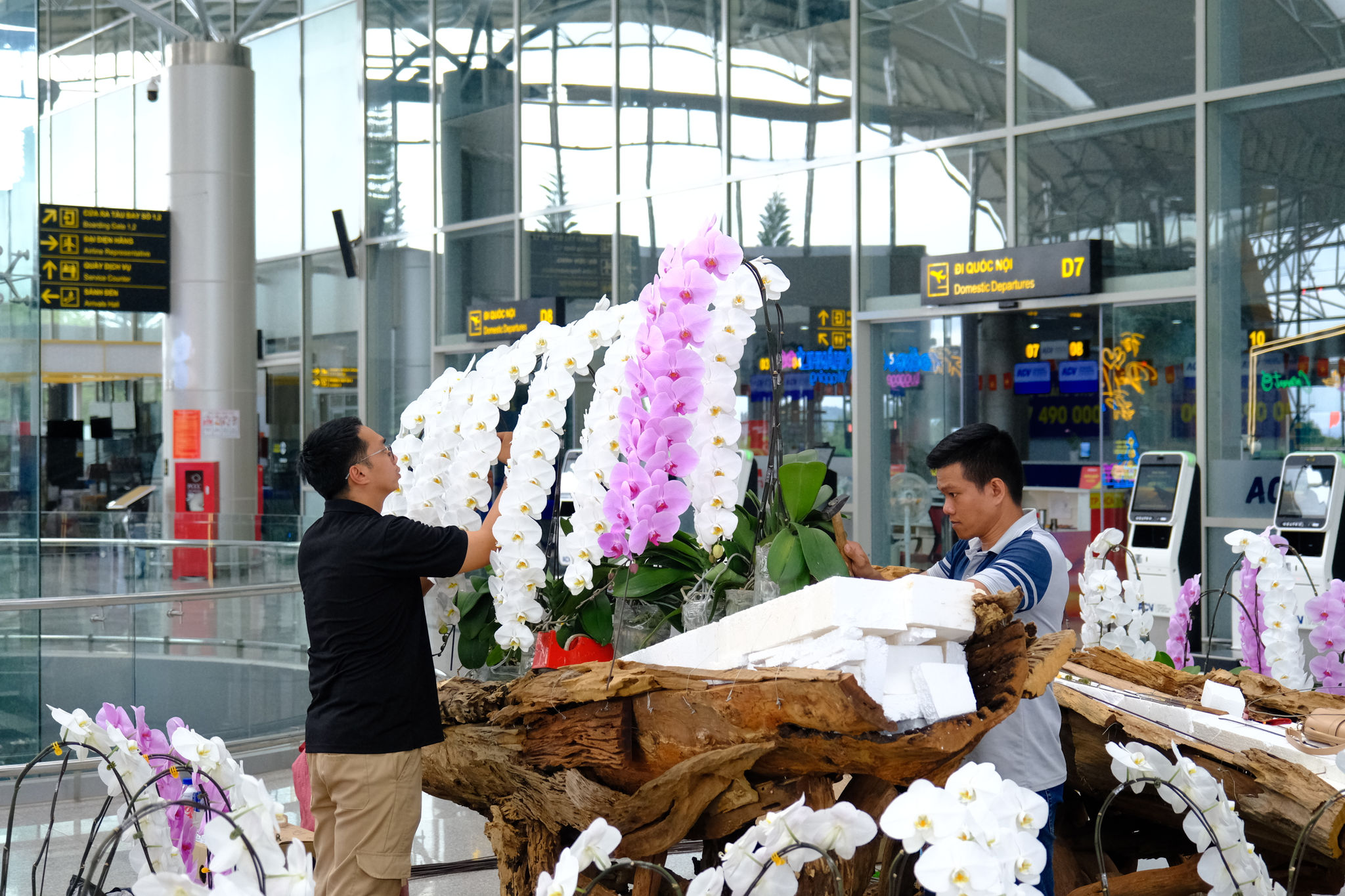 Trang trí tiểu cảnh lan hồ điệp tại khu vực nhà ga sân bay Liên Khương 