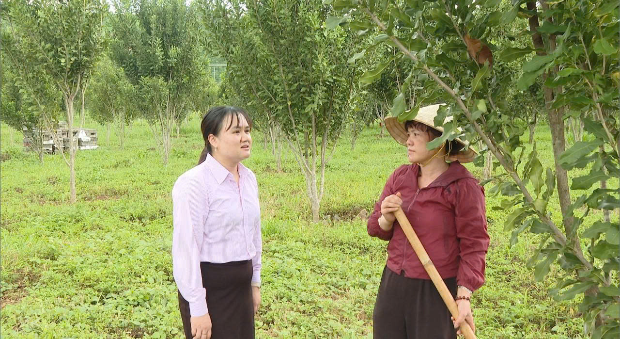 Nhiều hộ đồng bào dân tộc thiểu số ở xã Phú Sơn Lâm Hà đã mạnh dạn mở rộng quy mô sản xuất nhờ nguồn vốn vay ưu đãi