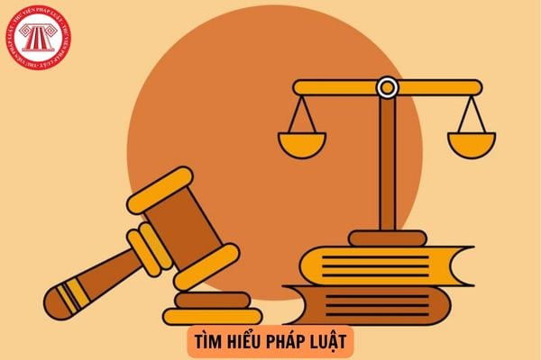 cdn.thuvienphapluat.vn-uploads-hoidapphapluat-2024-tttt-240702-_tim-hieu-pl.jpg