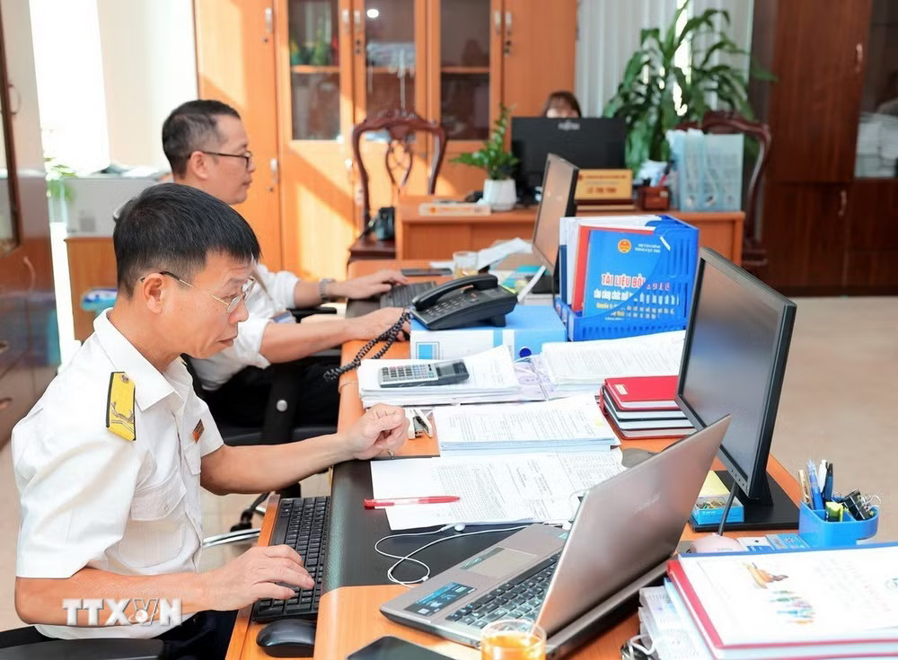 ttxvn-chuan-hoa-du-lieu-mst-ca-nhan-ma-so-thue.jpg