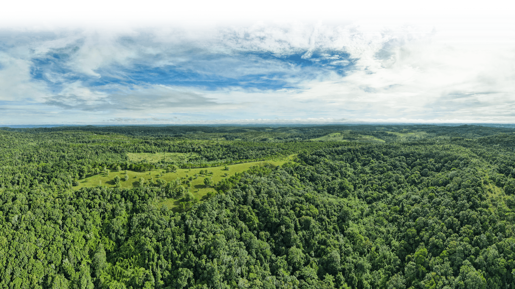 a-dji_0692.png