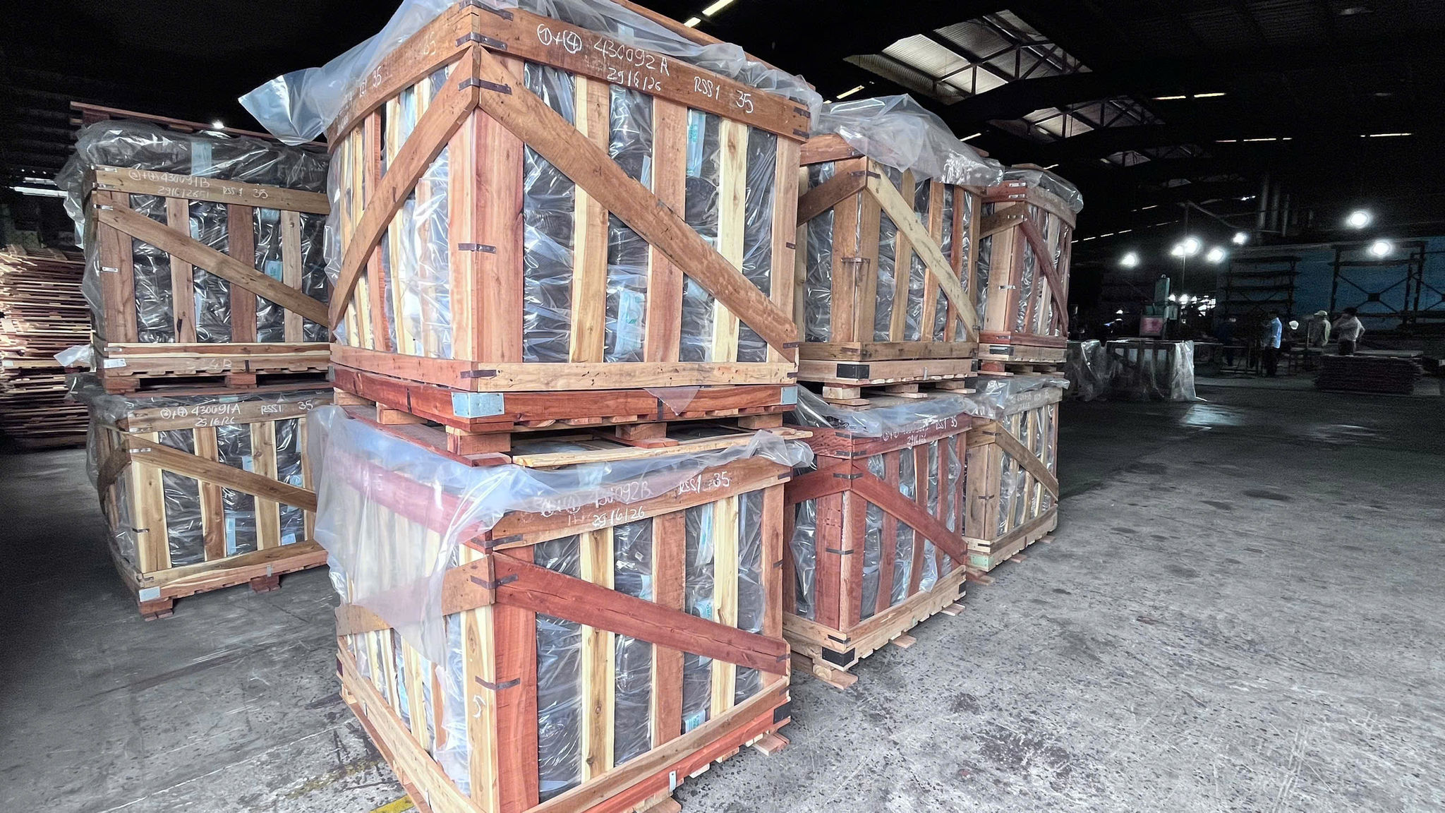 Giá mủ cao su xuất khẩu hiện đang ở mức 57 triệu đồng tấn và thị trường tiêu thụ ổn định