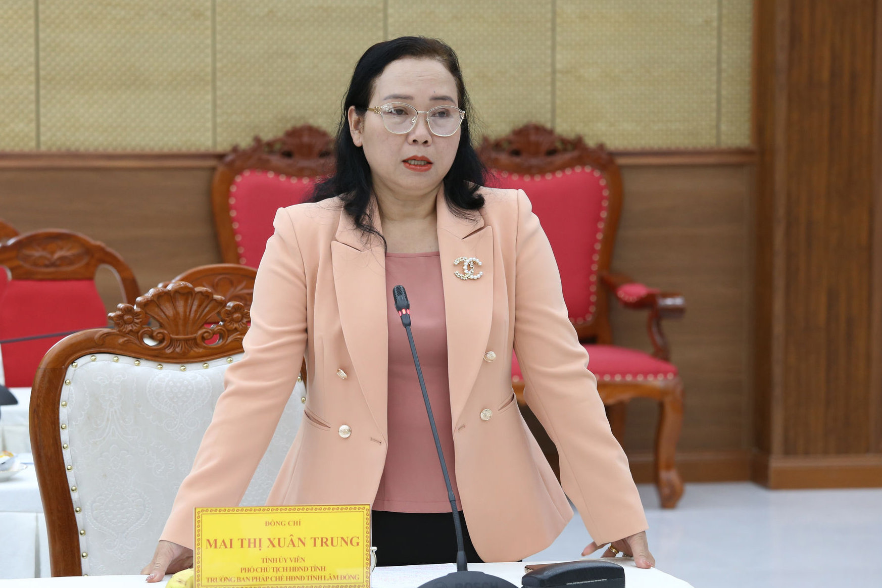 dong-chi-mai-thi-xuan-trung-tinh-uy-vien-pho-chu-tich-hdnd-tinh-phat-bieu-tai-hoi-nghi(1).jpg
