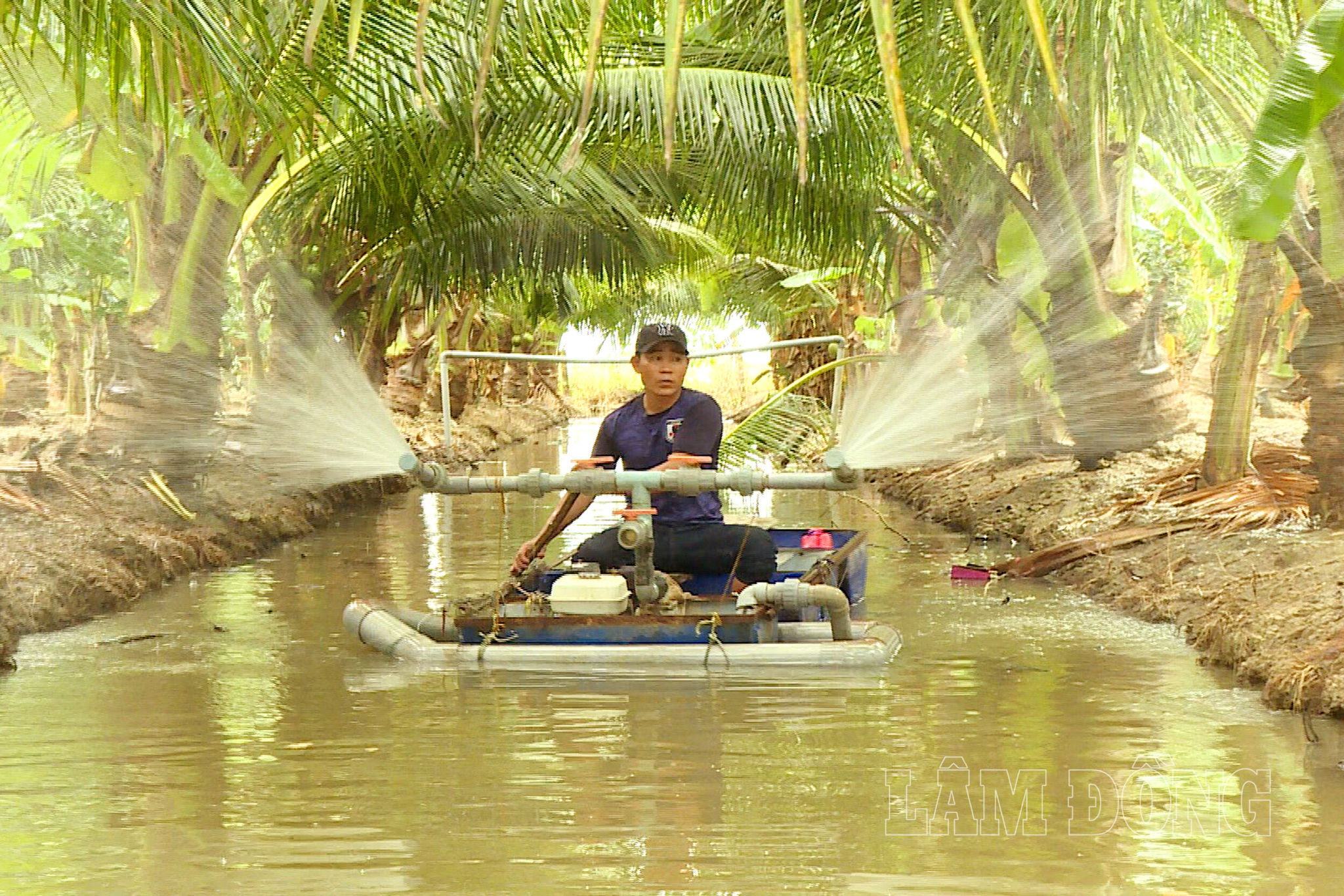 Anh Tạ Văn Thuyết ở thôn Phan Hoa, xã Bắc Binh tự sáng tạo thuyền tưới từ hệ thống mương sẵn có, giúp giảm công sức và thời gian chăm sóc vườn dừa và hoa màu. (2)