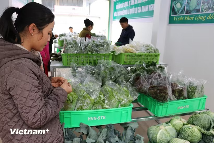 Chính sách giảm thuế 30% hỗ trợ hộ kinh doanh năm 2026–2027. (Ảnh: TTXVN)