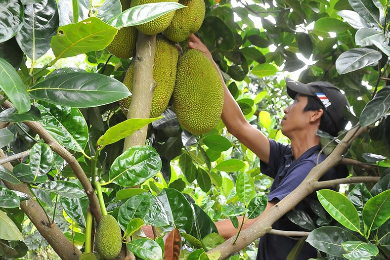 baodaknong.org.vn-database-image-2020-07-13-_3351-kt-1.jpg
