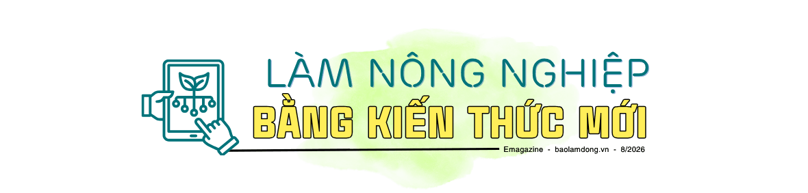 Bản sao của A D_Mẫu tít phụ có ảnh (25)