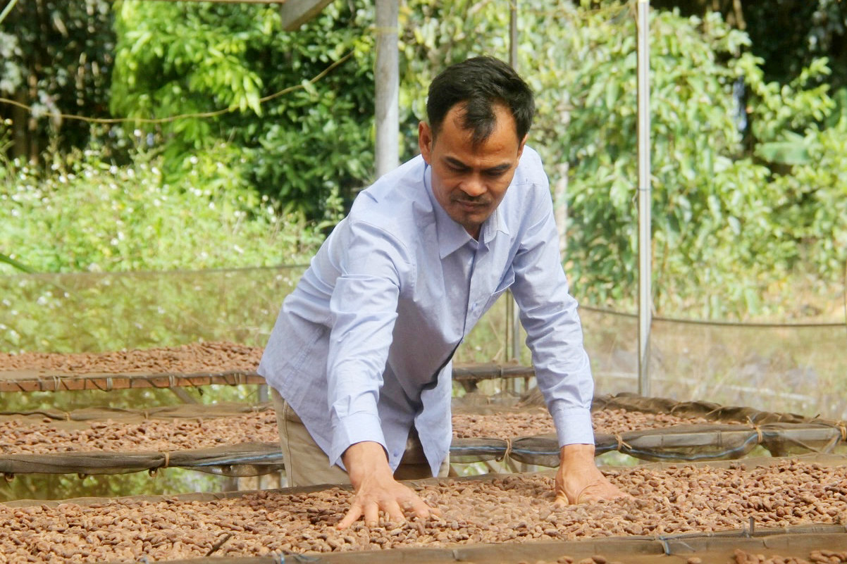 Ca cao