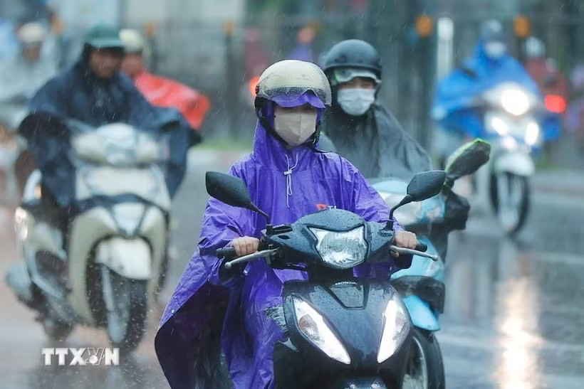 Khu vực Bắc Bộ, từ Thanh Hóa đến Hà Tĩnh có mưa rào và rải rác có dông với lượng mưa phổ biến 15-30mm, cục bộ có nơi mưa to trên 80mm. (Ảnh: TTXVN)