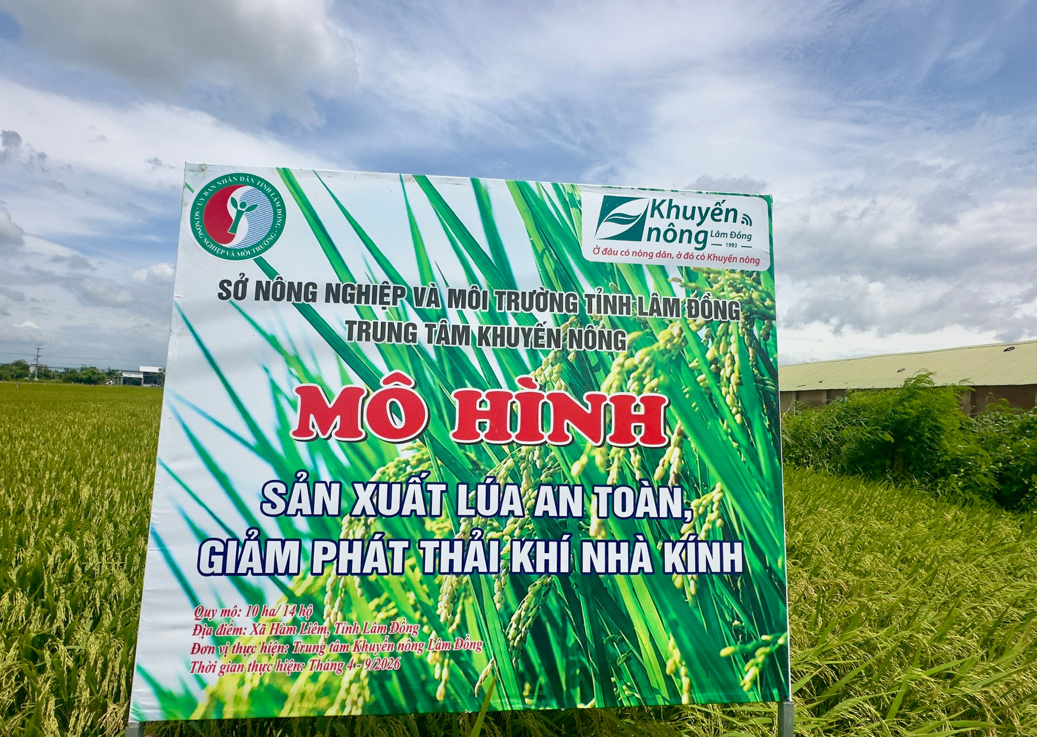 bảng mô hình