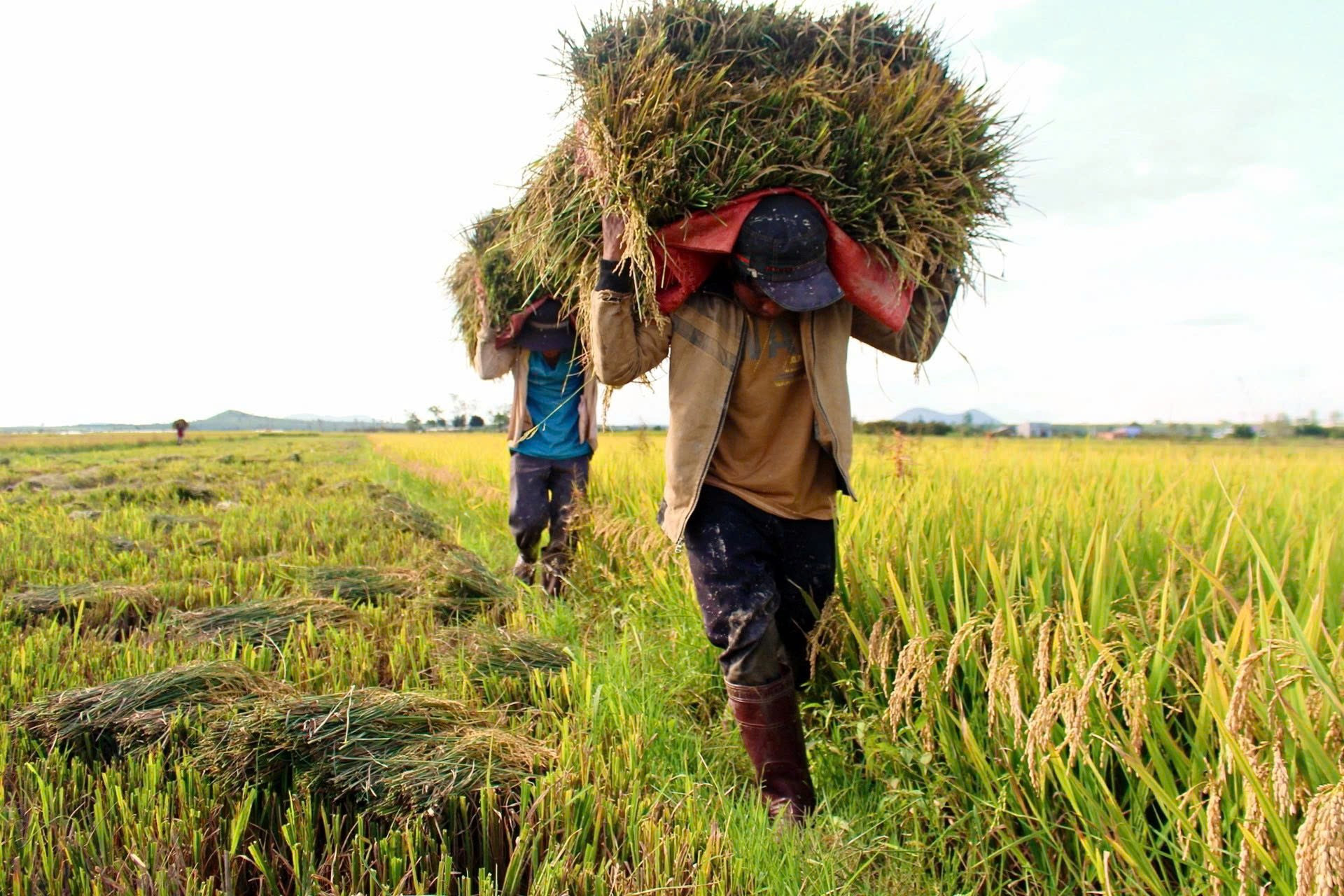 Nguồn lực an sinh được đưa vào sản xuất, tạo giá trị lâu dài cho hộ nghèo, cận nghèo. 