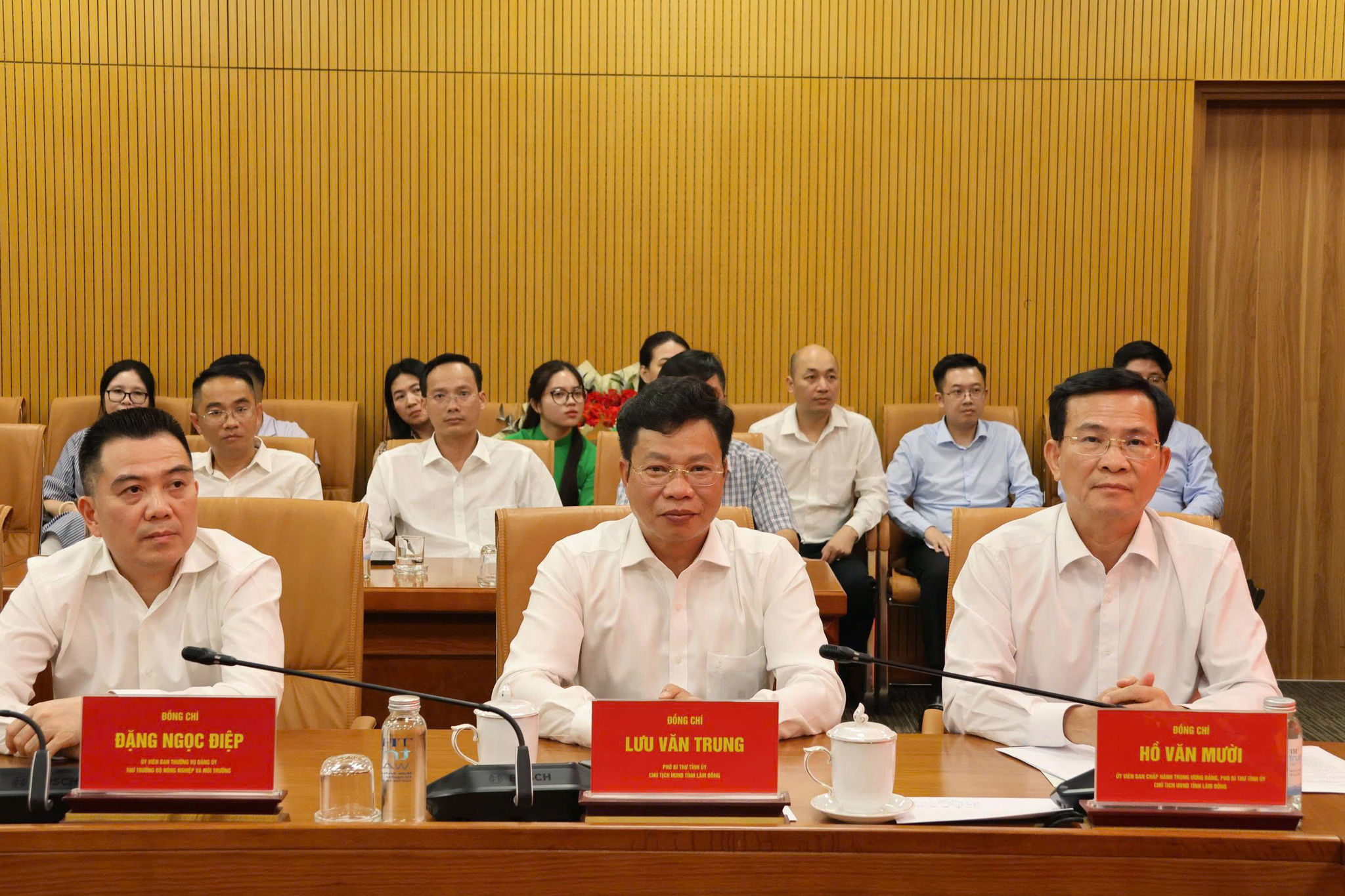 anh dai bieu 1