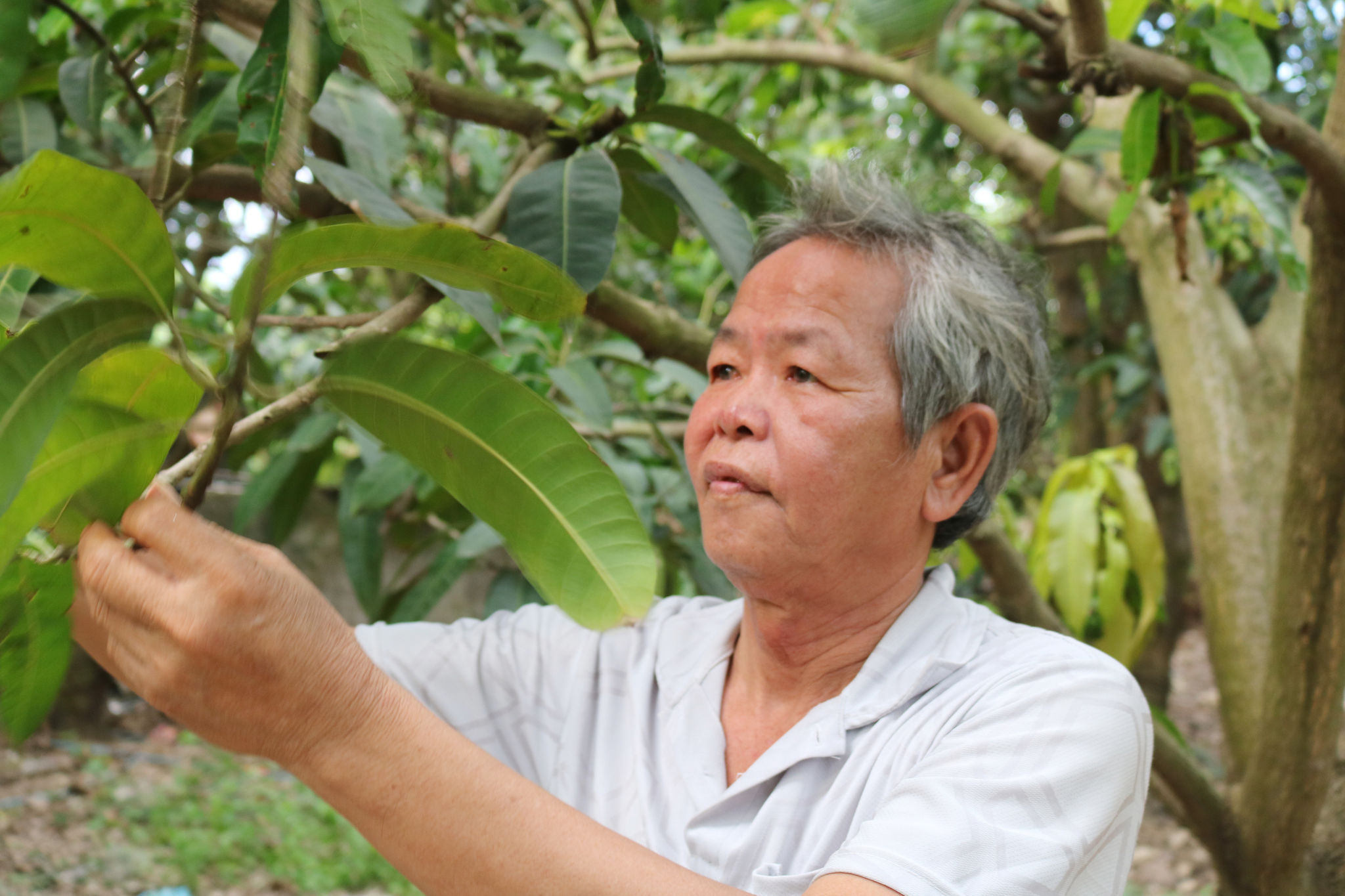 Ông Phạm Văn Vân, một trong những Việt kiều Camphuchia mong ước có 
