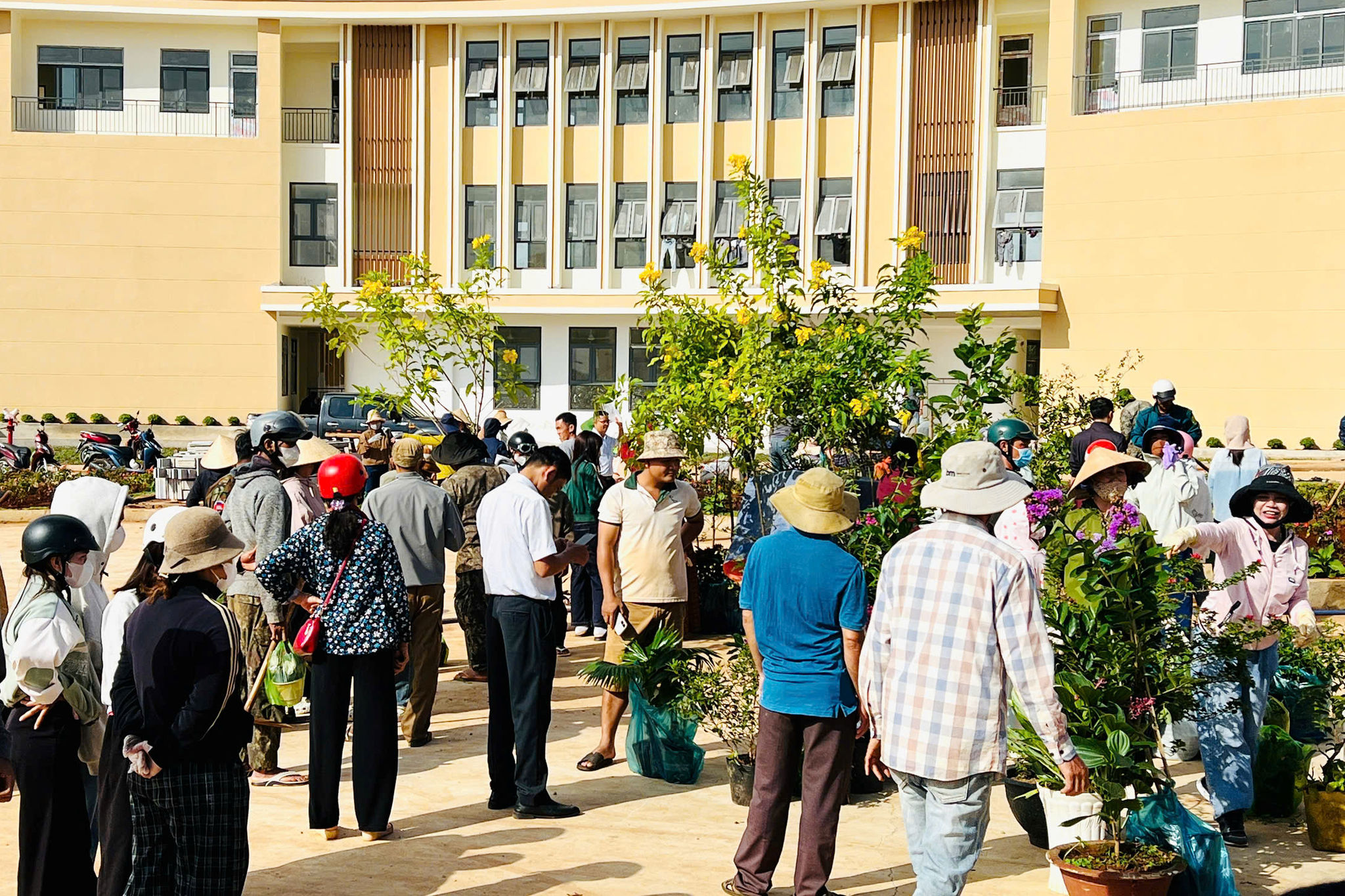 Phu huynh Thuan An 3