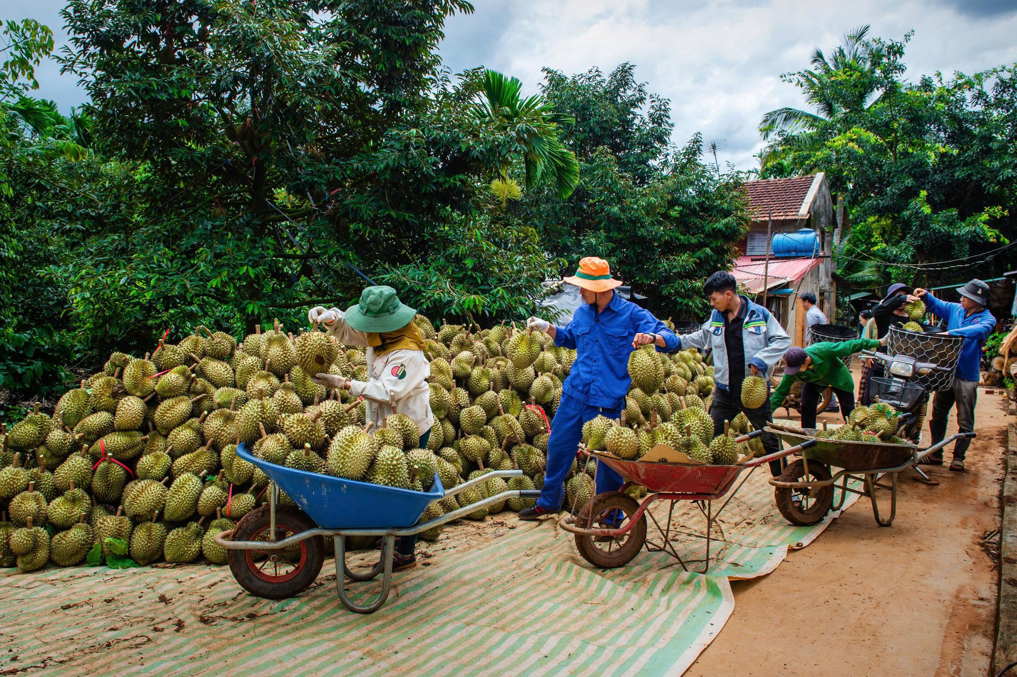 SR Đắk Mil 5
