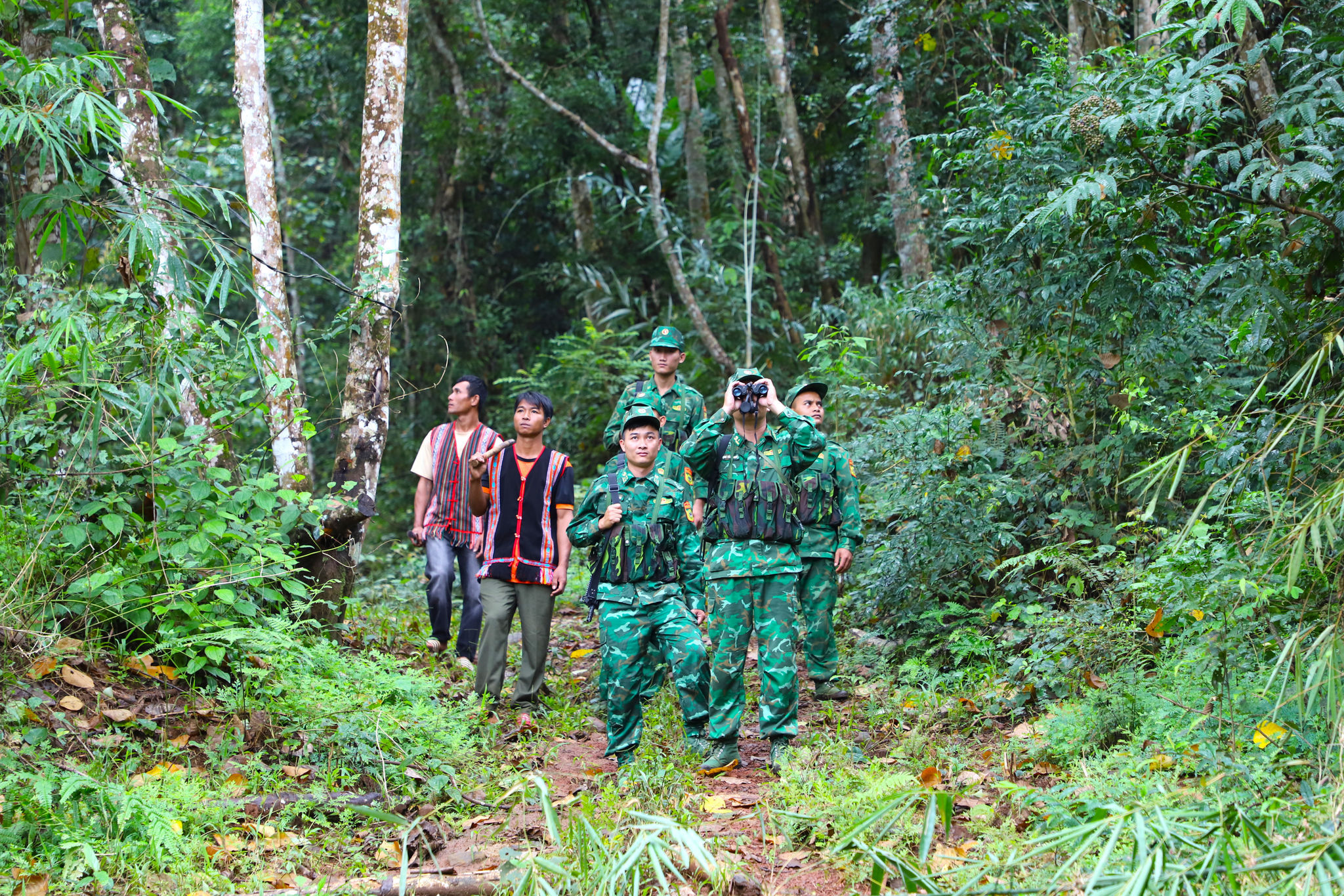 1.5 Hoài Nam