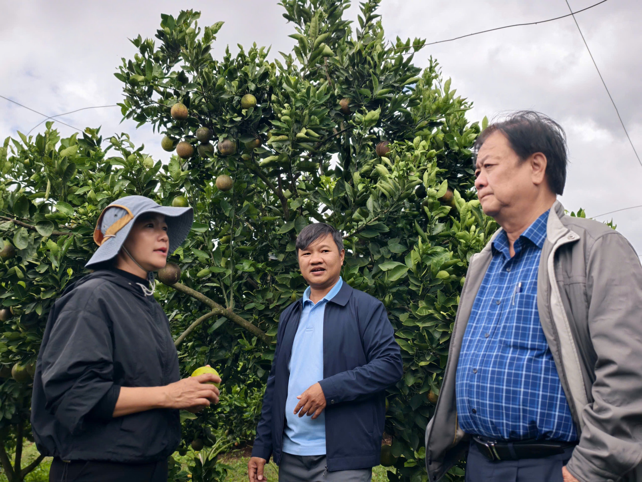 Former National Assembly Vice Chairman Le Minh Hoan offers recommendations on agricultural tourism models in Lam Dong