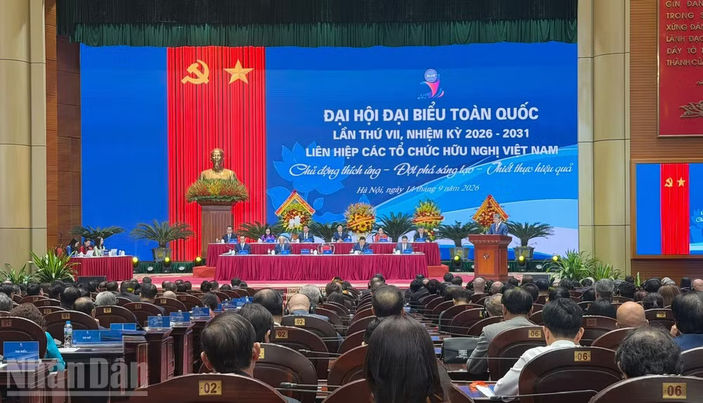 ndo_bl_hoai5.jpg