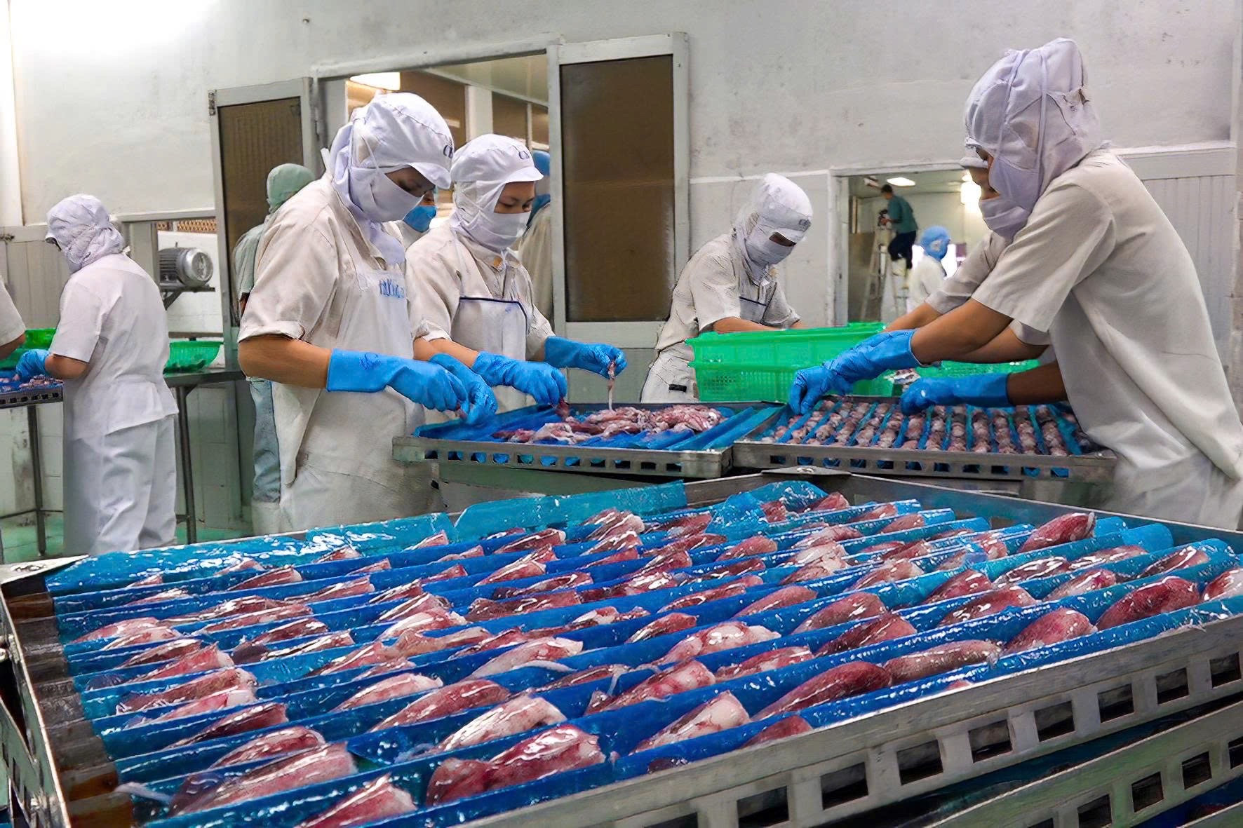 chế biến hải sản