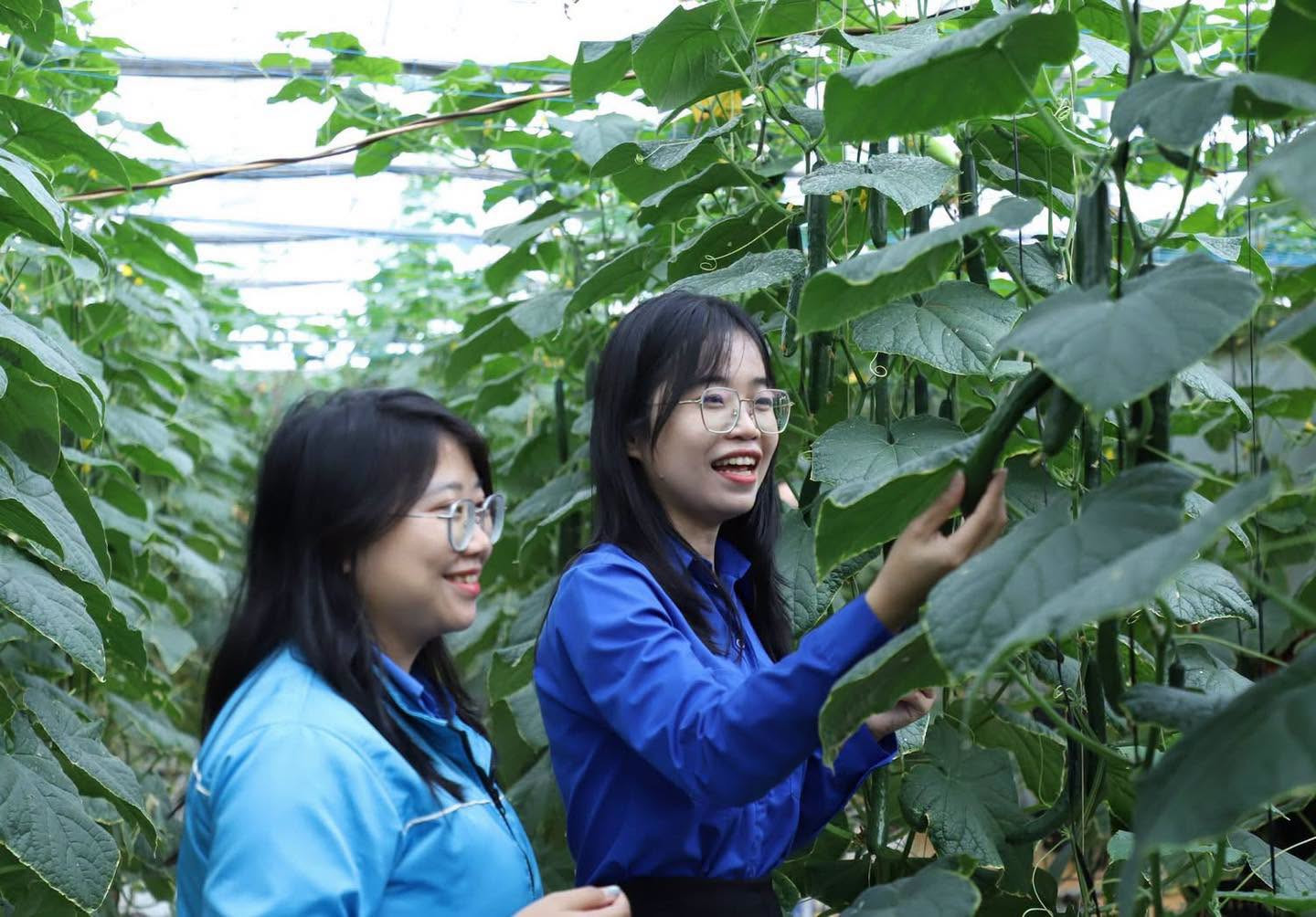 Từ những định hướng mới, câu chuyện khởi nghiệp được đặt trong yêu cầu tăng cường kết nối và chia sẻ nguồn lực.