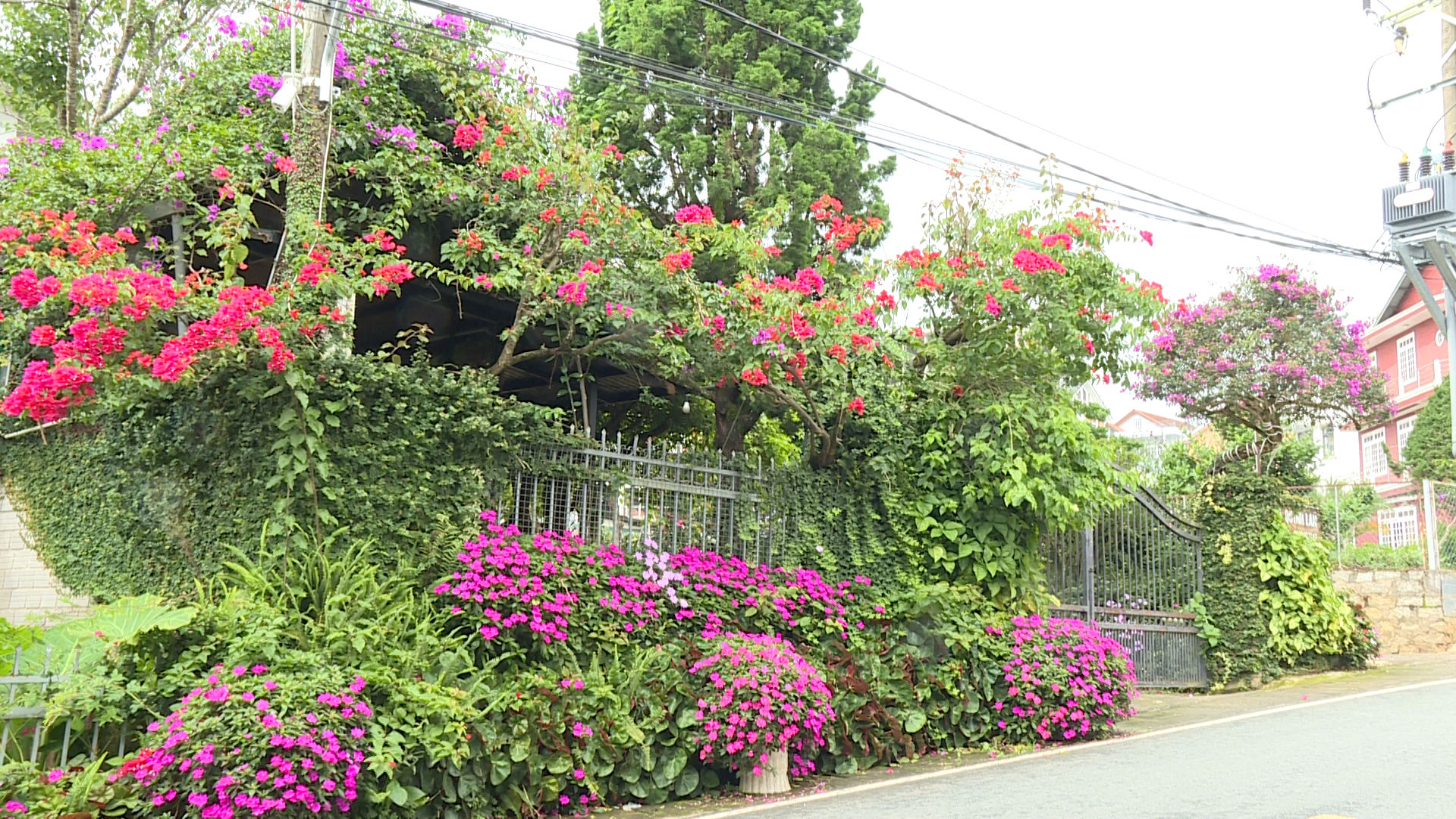Flower-Filled porches
